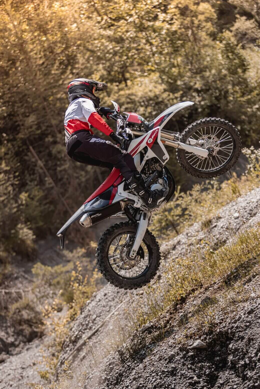 Enduro XEF 250