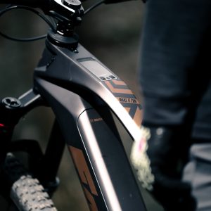 Trail Sierra Action 6